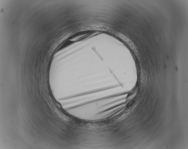 X0000080720481200701051038