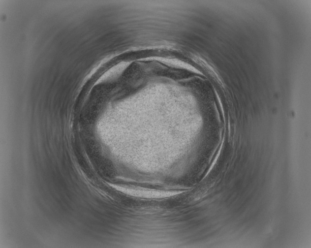 X0000080720483200701051038