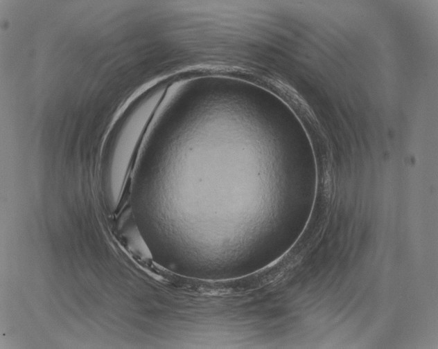 X0000080720484200701051038