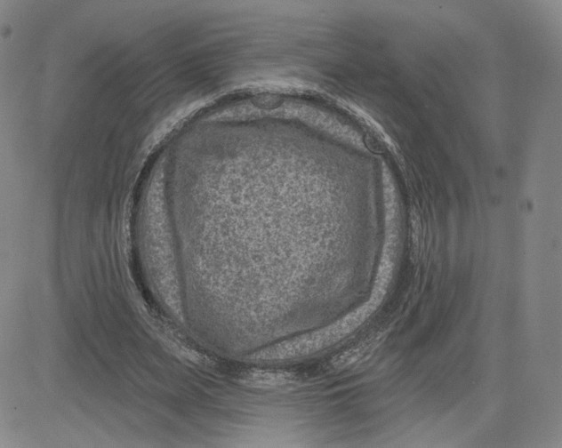 X0000080720487200701051038