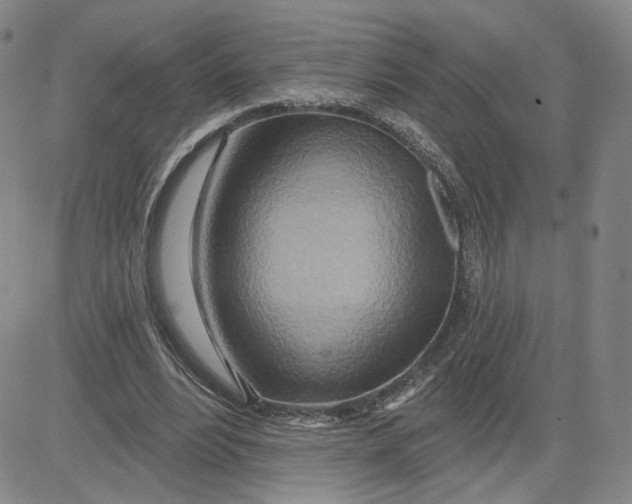 X0000080720488200701051038