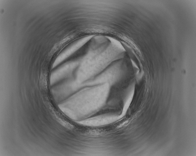 X0000080720489200701051038