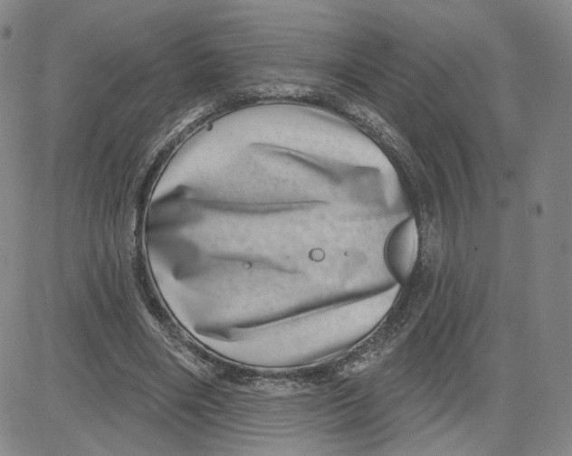 X0000080720490200701051038