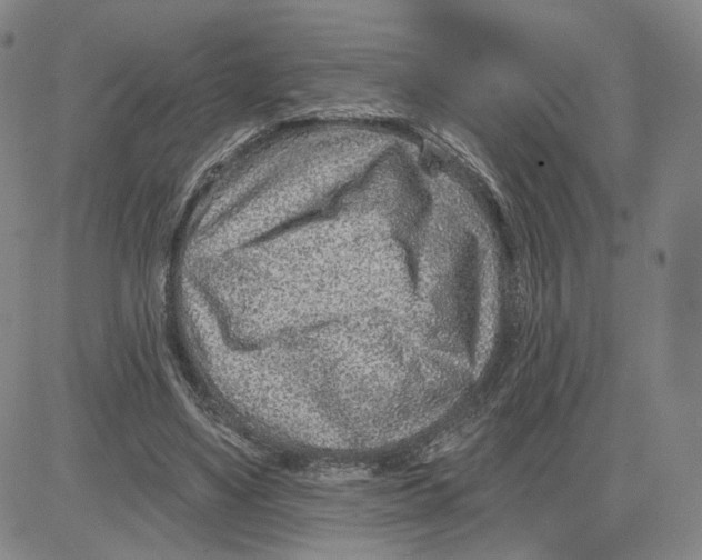 X0000080720491200701051038