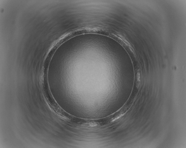 X0000080720492200701051038