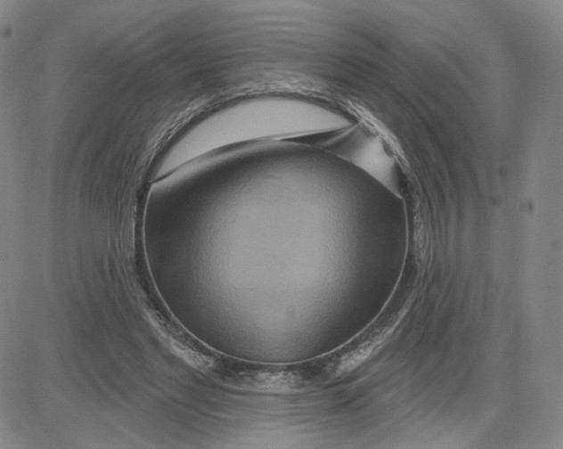 X0000080720493200701051038