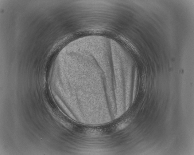 X0000080720494200701051038