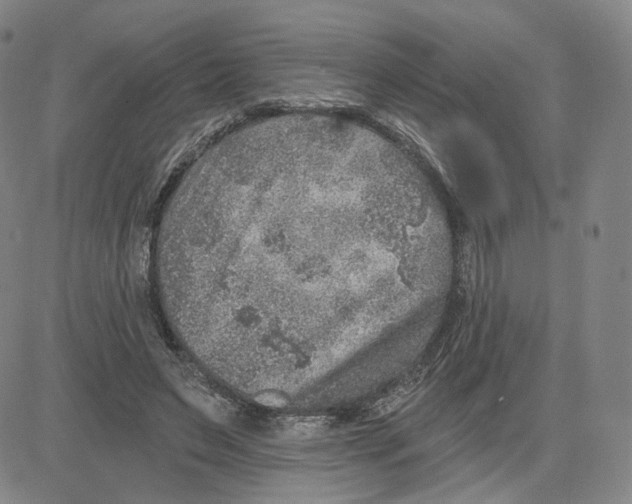 X0000080720495200701051038