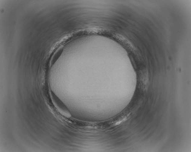 X0000080720496200701051038