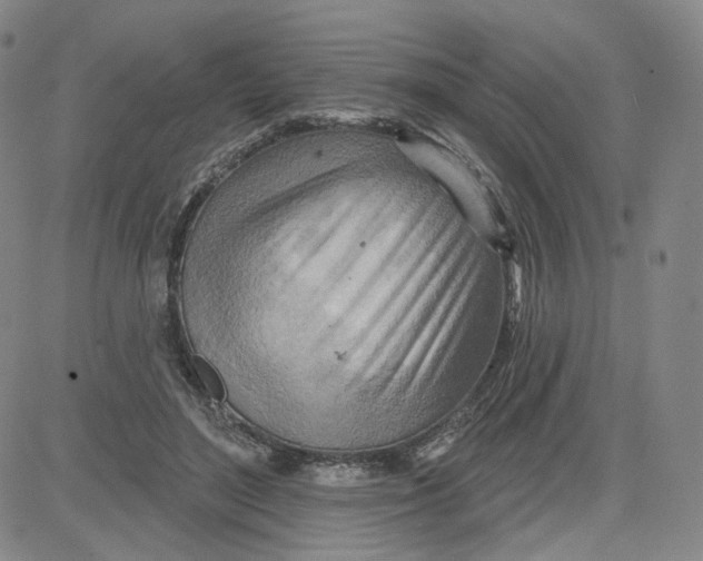 X0000080720500200701051038