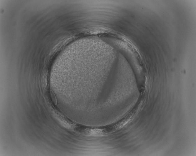 X0000080720501200701051038