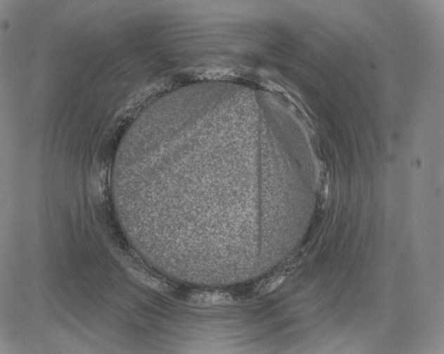 X0000080720503200701051038