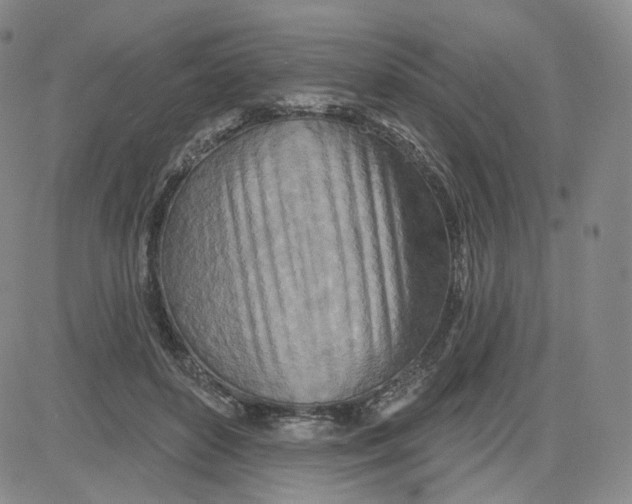 X0000080720504200701051038