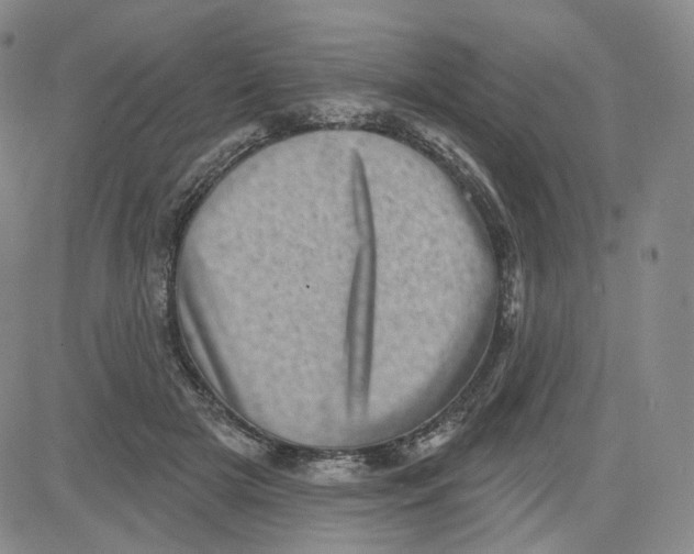 X0000080720505200701051037