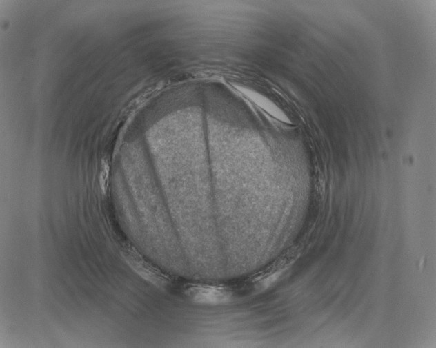 X0000080720507200701051037