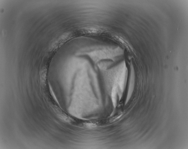 X0000080720509200701051037