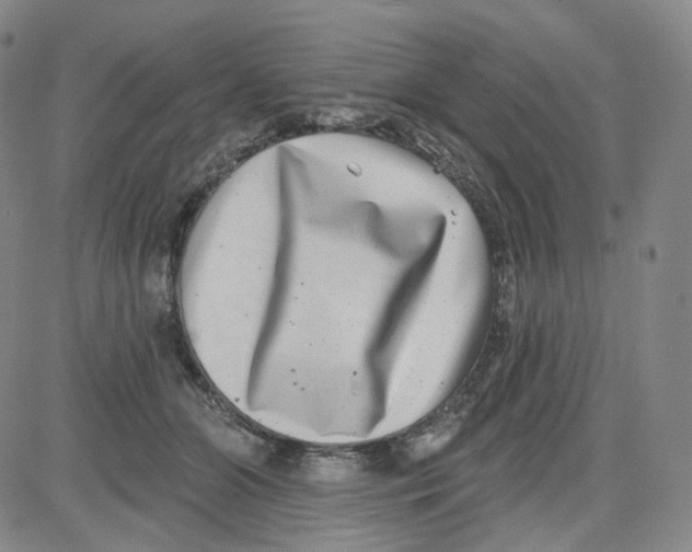 X0000080720510200701051037