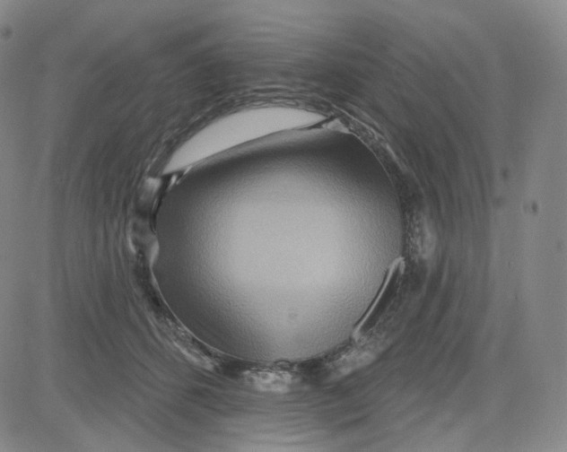 X0000080720512200701051037