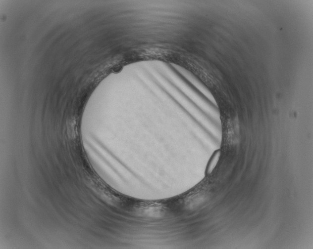 X0000080720514200701051037