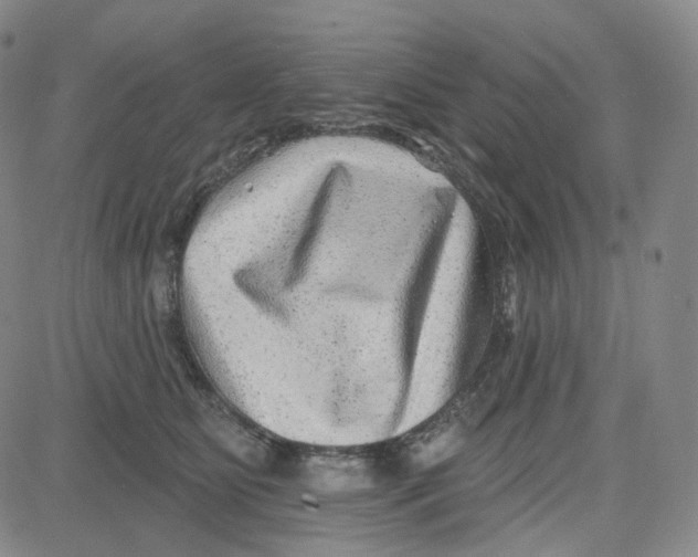 X0000080720515200701051037