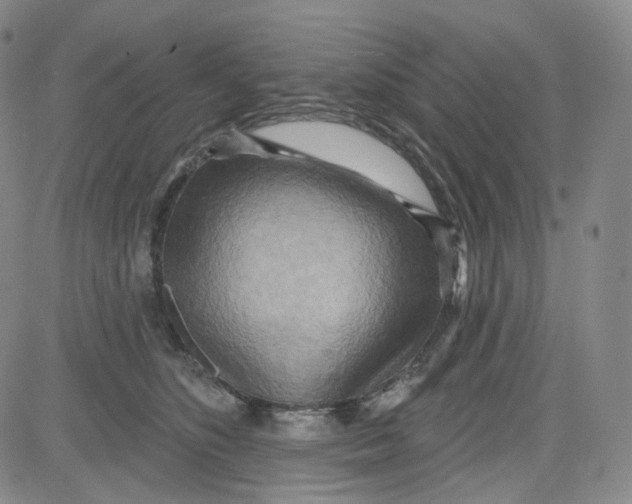 X0000080720516200701051037