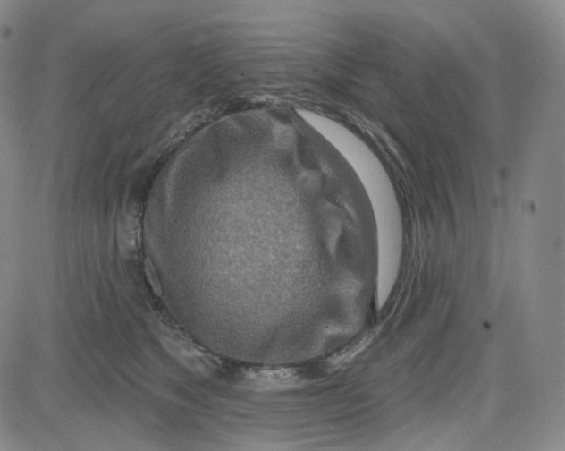 X0000080720517200701051037