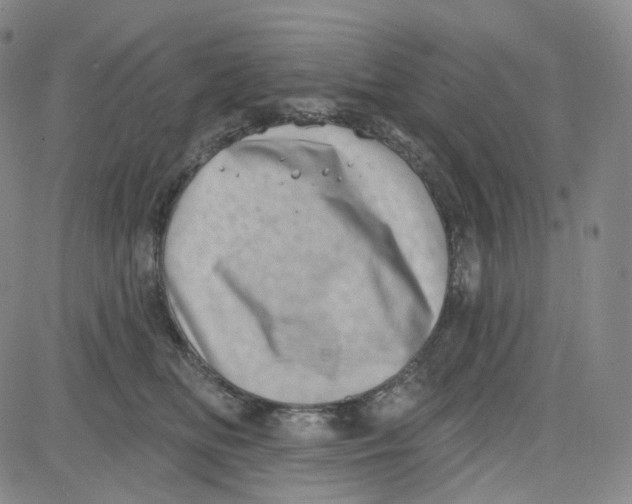 X0000080720518200701051037