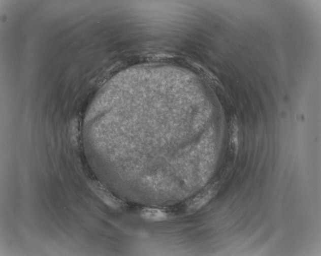 X0000080720519200701051037