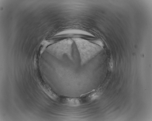 X0000080720520200701051037