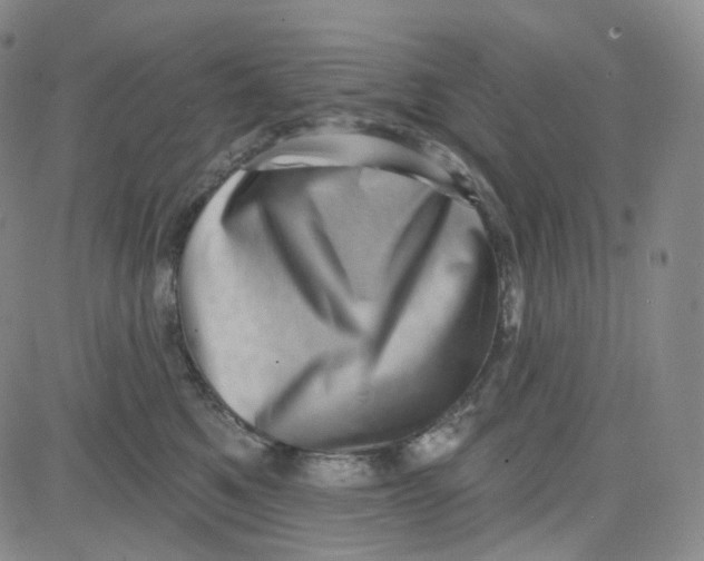 X0000080720521200701051037