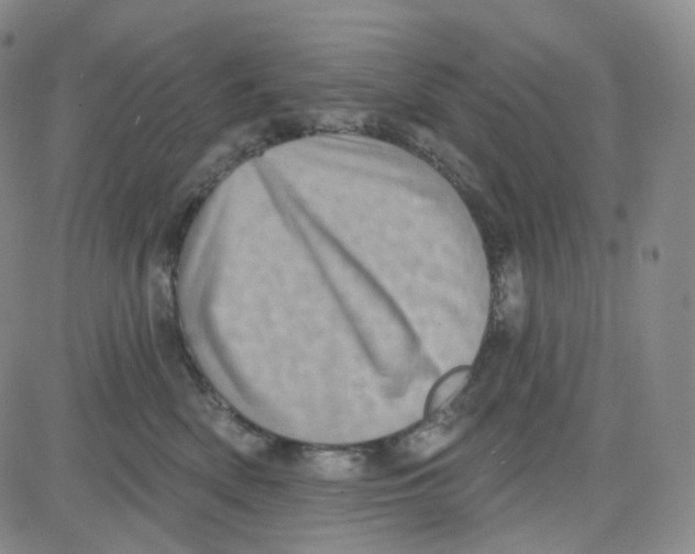 X0000080720522200701051037