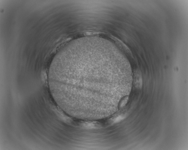 X0000080720523200701051037