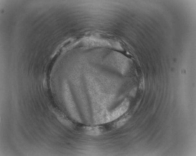 X0000080720524200701051037