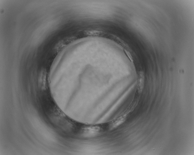 X0000080720525200701051037