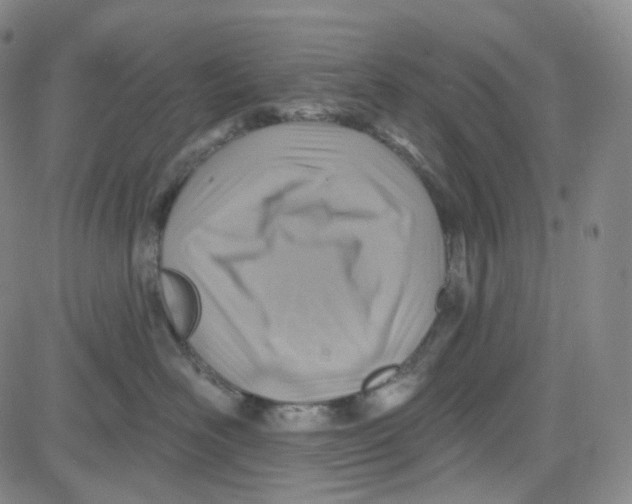 X0000080720526200701051037