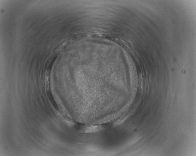 X0000080720527200701051037