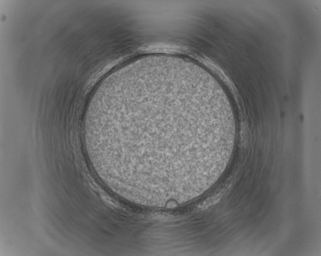 X0000080720529200701051036