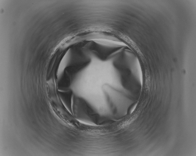 X0000080720530200701051036