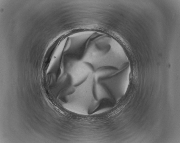 X0000080720532200701051036