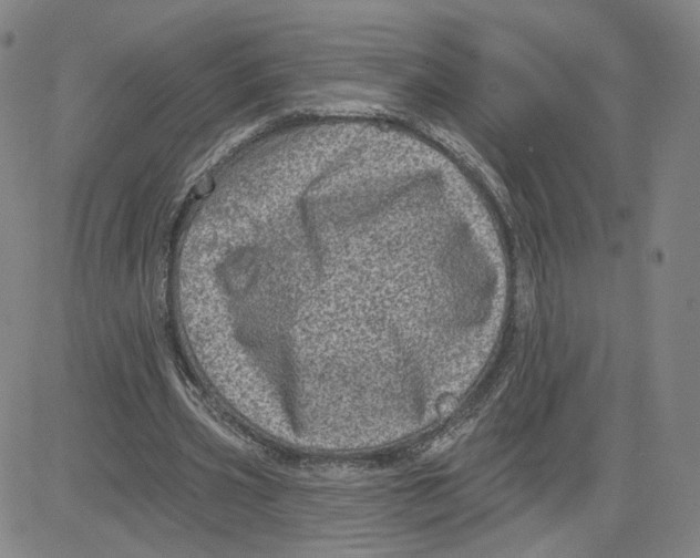 X0000080720533200701051036