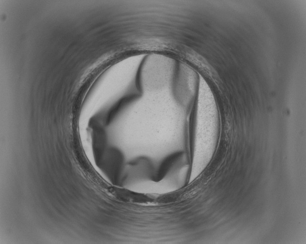 X0000080720535200701051036