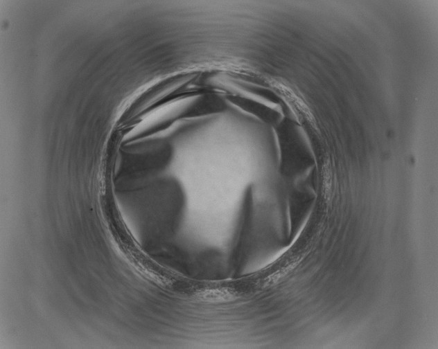 X0000080720536200701051036