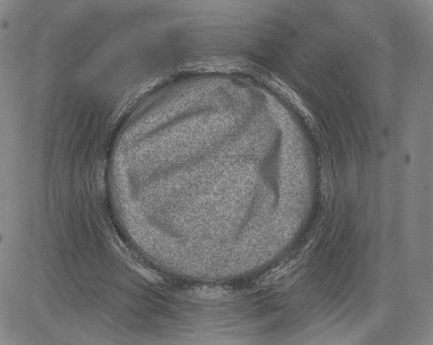 X0000080720537200701051036