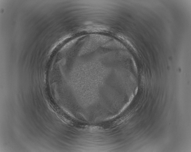 X0000080720539200701051037