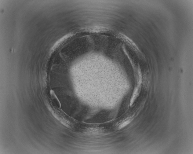 X0000080720540200701051037