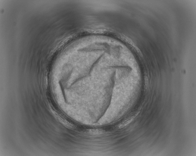 X0000080720541200701051037