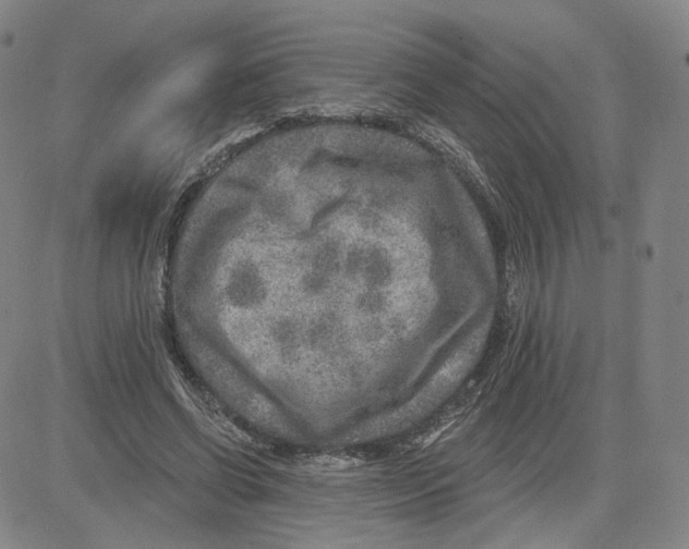 X0000080720542200701051037