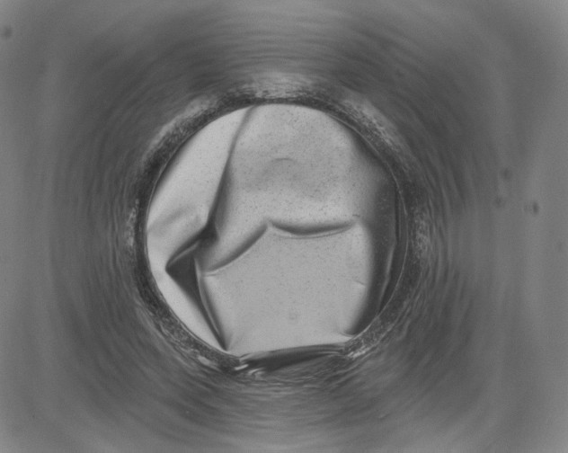 X0000080720543200701051037