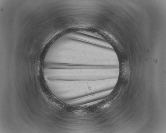 X0000080720544200701051037