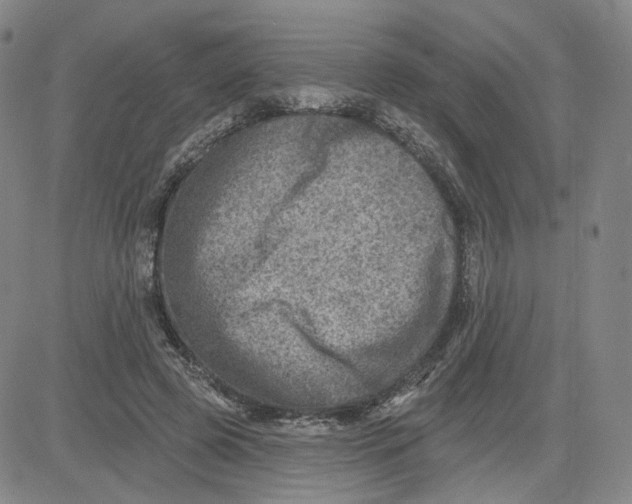 X0000080720545200701051037